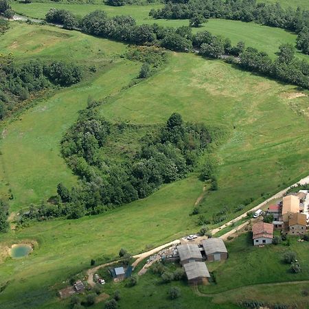 Гостевой дом Agriturismo Campo Antico Орте Экстерьер фото