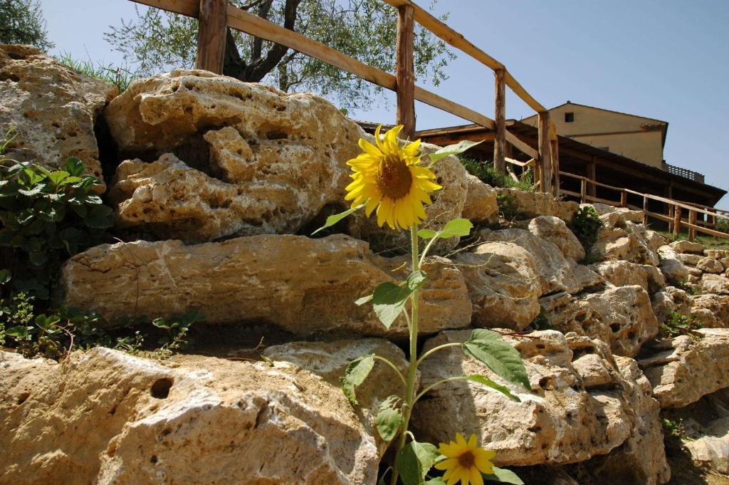 Гостевой дом Agriturismo Campo Antico Орте Экстерьер фото